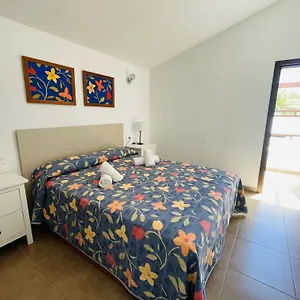 https://centro-los-cancajos-playa-fibra-100-mb-terraza.in-canary-islands.com